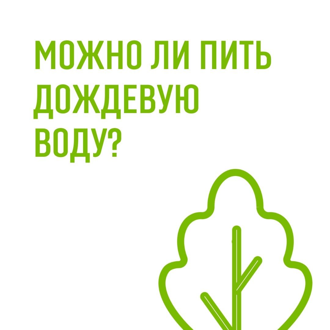 Можно ли пить дождевую воду людям